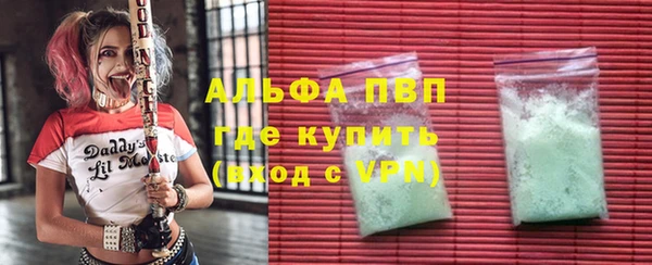 стаф Нефтекумск