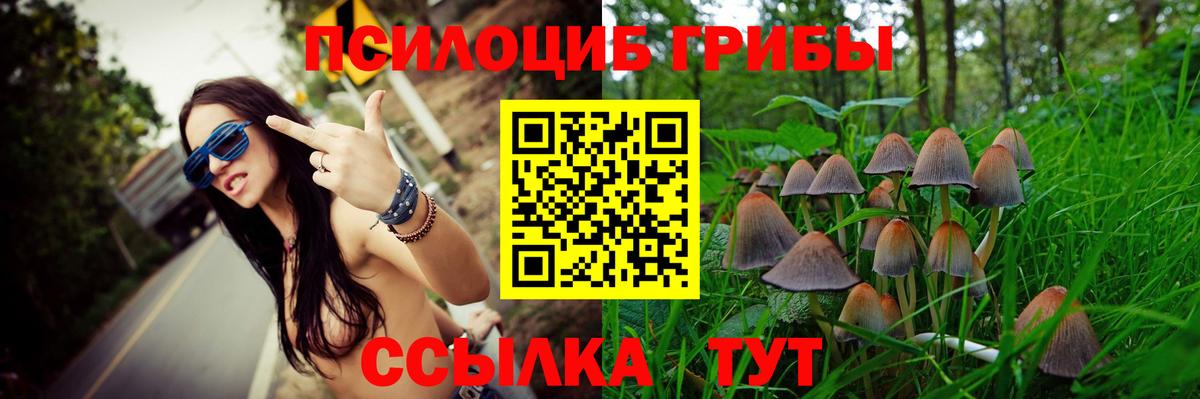 Галлюциногенные грибы MAGIC MUSHROOMS  Вход с VPN  Тулун 